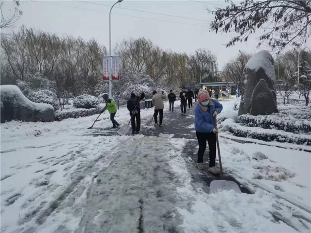 安阳工学院后勤管理处组织党员开展路面除雪作业